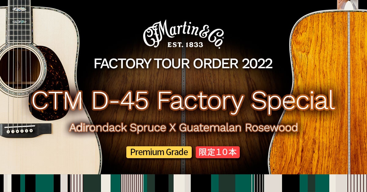 Martin CTM D-45 Factory Special