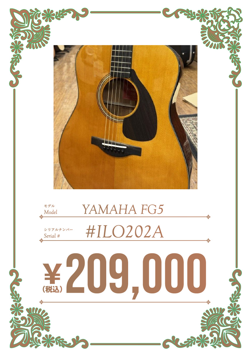 YAMAHA FG5