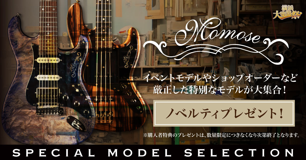 Momose Special Model Selection