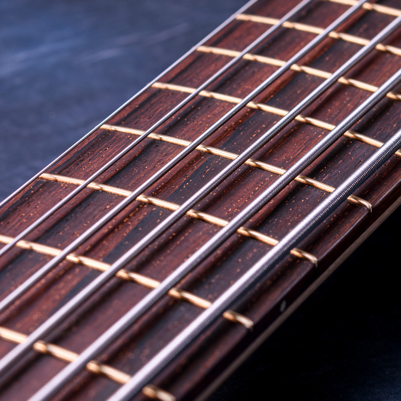 MTD NAMM Show 2025 / 635-24 Holly 10 Top & Walnut Body, Maple & Purpleheart Neck, Old Madagascar Rosewood Fingerboard