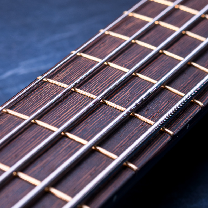 MTD 535-24 Myrtle Burl 10 Top, Poplar Body, Wenge Neck & Fingerboard